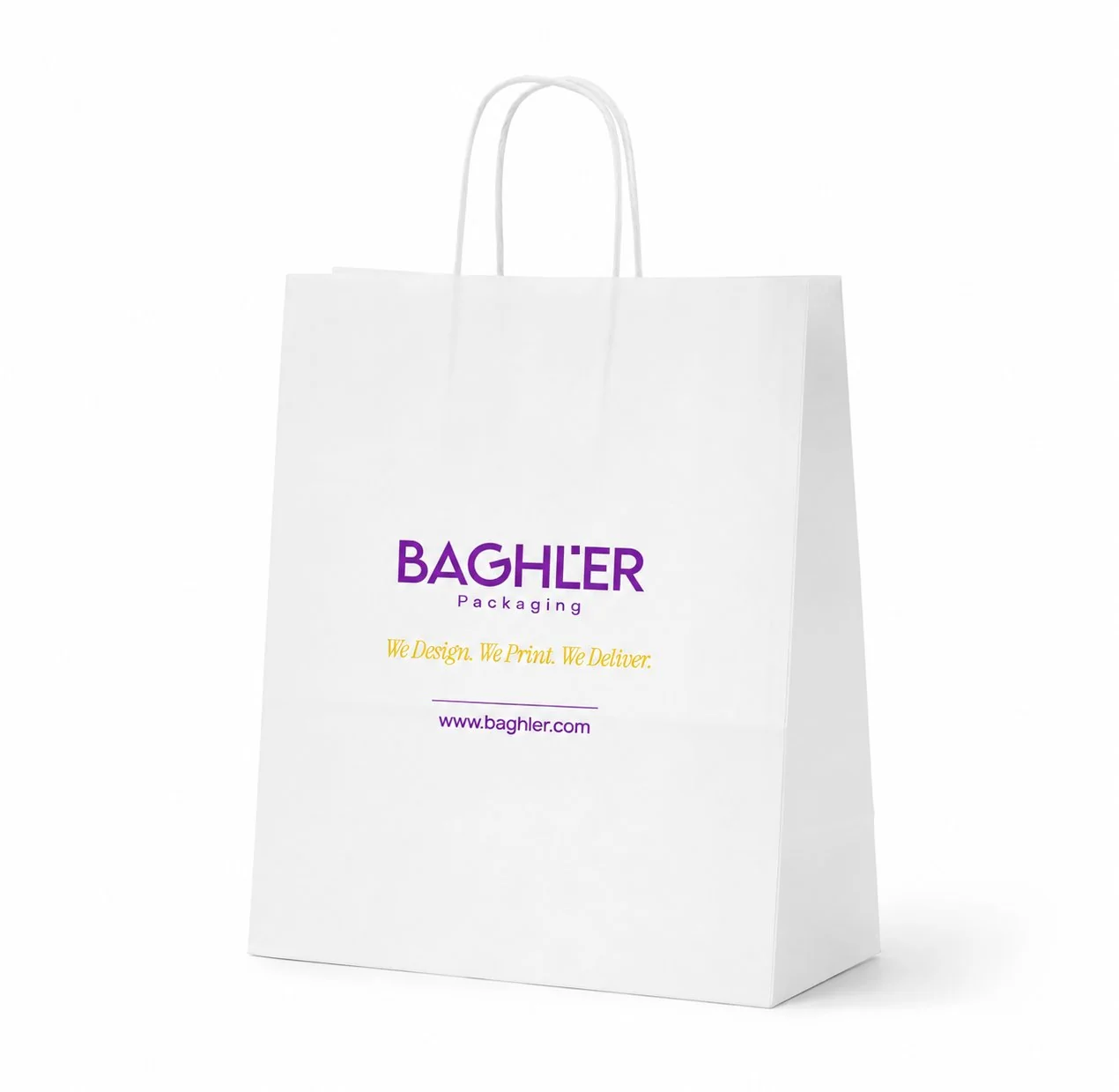 Paper Bag (Twisted Handle)