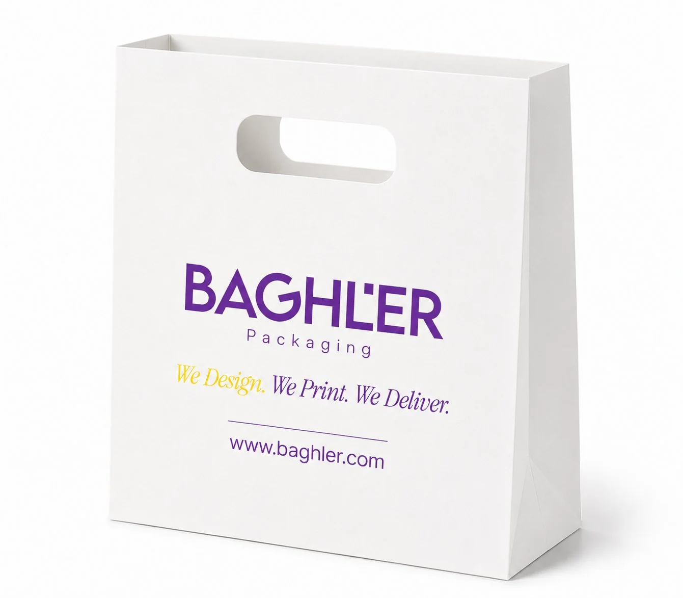 Paper Bag (Die-Cut Handle)