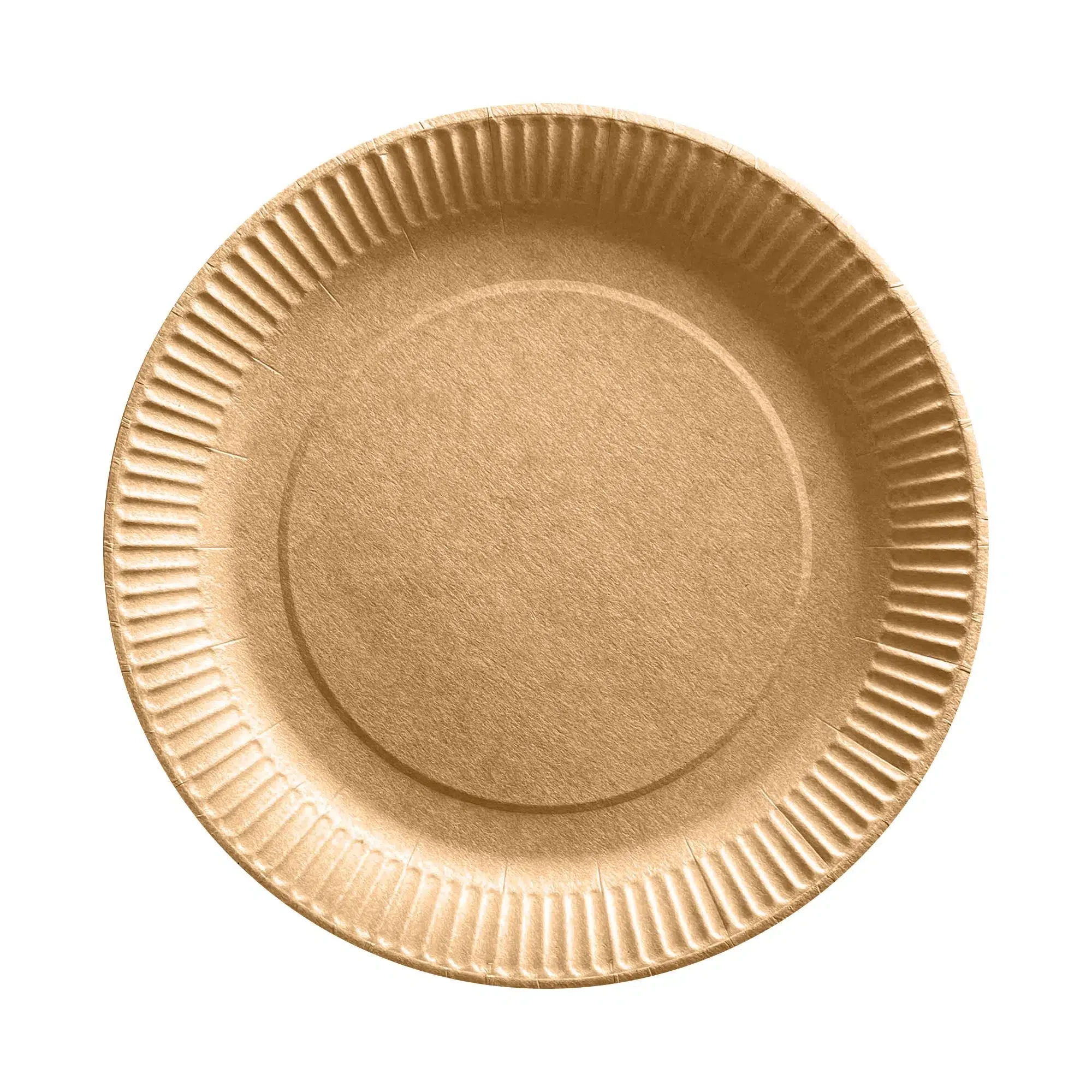 Paper Plate